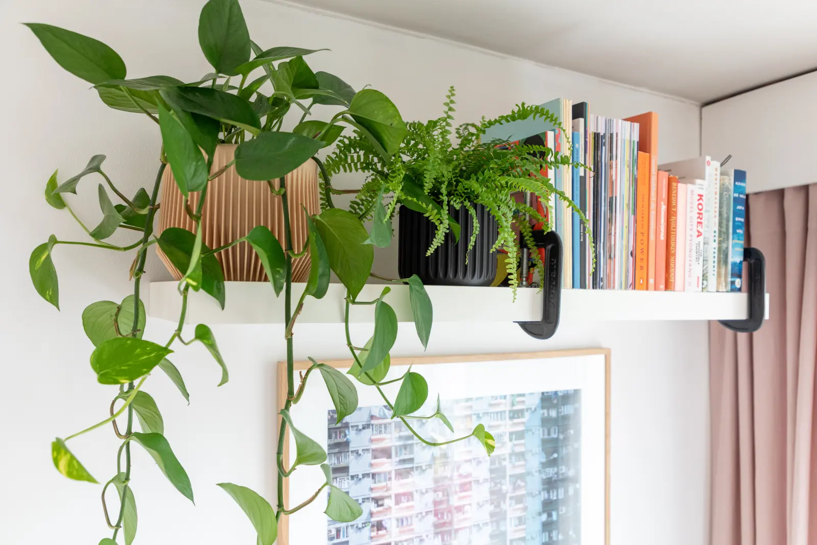 Two 3D-printed planters holding houseplants on a shelf